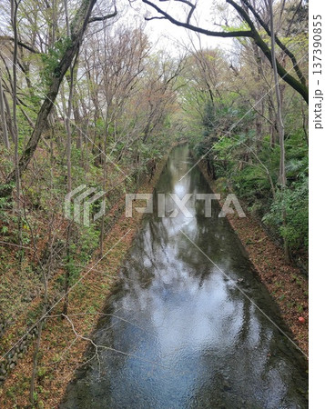 福生市新堀橋 福生市新堀橋 137390855