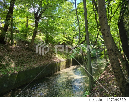 福生市水食土公園横 137390859