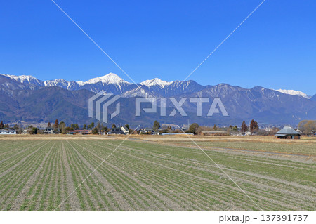 早春の安曇野　田園と北アルプス 137391737