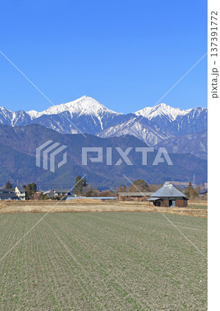早春の安曇野 田園と北アルプス 早春の安曇野 田園と北アルプス 137391772