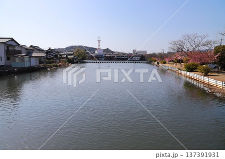 新堀川緑地のドラム缶橋 137391931