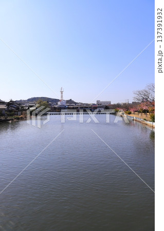 新堀川緑地のドラム缶橋 137391932
