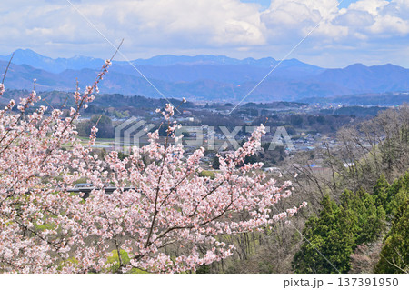 名胡桃城址からの眺め　満開の桜　街並みと赤城高原方面　群馬県みなかみ町 137391950