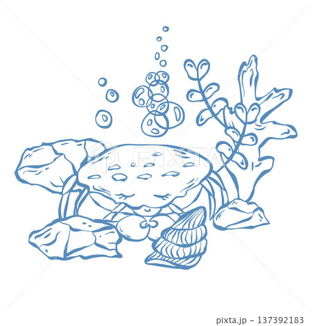 Vector illustration with a marine theme. Underwater world, seaside vacation in blue. Cute crab in doodle. 137392183