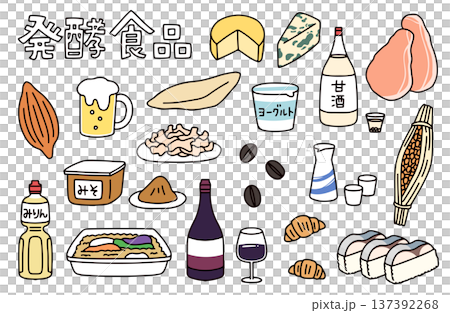 Illustration set of various fermented foods such as beer and miso Illustration set of various fermented foods such as beer and miso 137392268