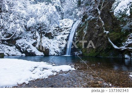 横谷峡(冬):白滝 横谷峡(冬):白滝 137392343