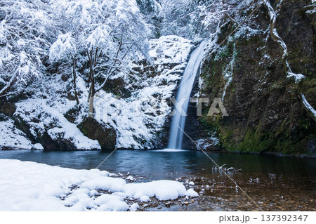 横谷峡(冬):白滝 横谷峡(冬):白滝 137392347