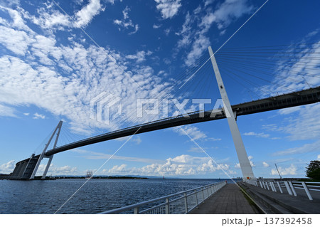 新湊大橋 137392458