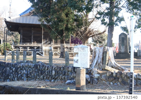 埼玉県東松山市馬頭観音妙安寺の風景 埼玉県東松山市馬頭観音妙安寺の風景 137392540