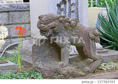 延命寺(武蔵野) 延命寺(武蔵野) 137392583
