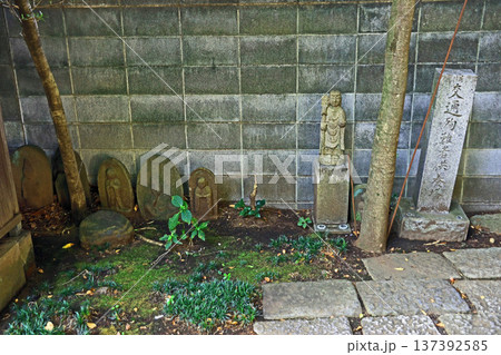 延命寺(武蔵野) 延命寺(武蔵野) 137392585