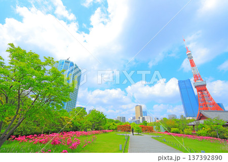 東京都港区、東京タワーと花壇の風景 東京都港区、東京タワーと花壇の風景 137392890