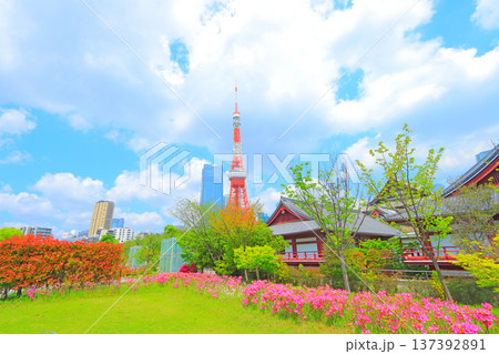 東京都港区、東京タワーと花壇の風景 東京都港区、東京タワーと花壇の風景 137392891