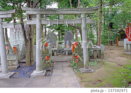 東伏見稲荷神社（西東京） 137392971