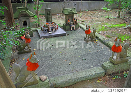 東伏見稲荷神社（西東京） 137392974