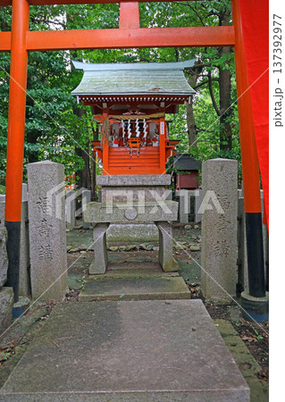 東伏見稲荷神社（西東京） 137392977