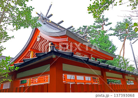 東伏見稲荷神社(西東京) 東伏見稲荷神社(西東京) 137393068