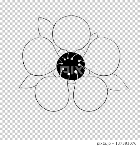麥盧卡花線條插畫。單色素材,適用於蜂蜜、健康和美容領域。 麥盧卡花線條插畫。單色素材,適用於蜂蜜、健康和美容領域。 137393076
