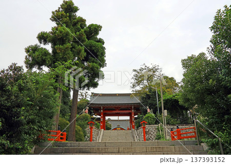 東伏見稲荷神社（西東京） 137393152