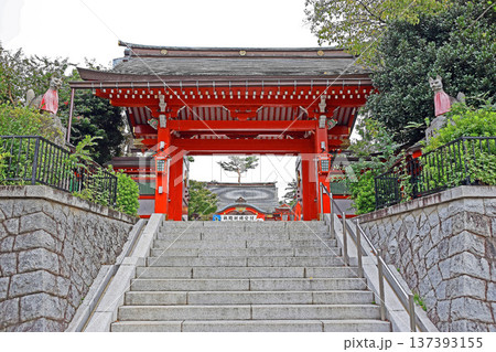 東伏見稲荷神社(西東京) 東伏見稲荷神社(西東京) 137393155
