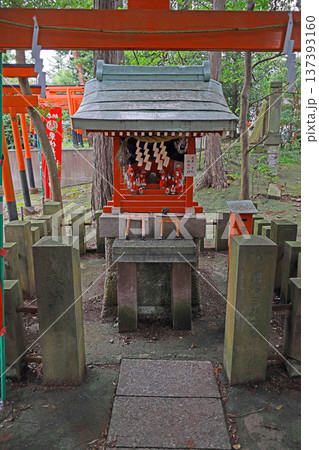 東伏見稲荷神社(西東京) 東伏見稲荷神社(西東京) 137393160