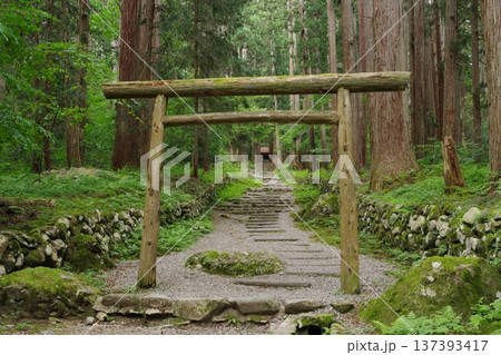 白山平泉寺 三之宮の参道と鳥居 白山平泉寺 三之宮の参道と鳥居 137393417
