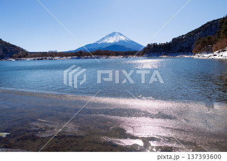 精進湖の早春の風景 結氷の湖面越しに観る子抱富士 山梨県 精進湖の早春の風景 結氷の湖面越しに観る子抱富士 山梨県 137393600