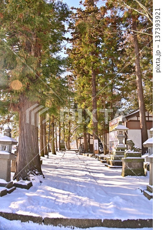 雪の積もった寒い朝 137393921
