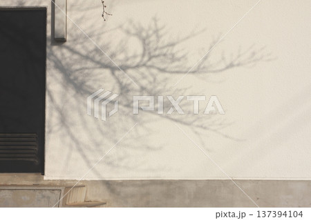 壁桜のシルエットが まもなく開花をします(2022.3.12) 早春を迎える新田荘歴史資料館 137394104