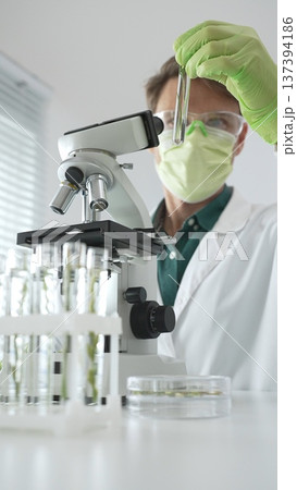 Man scientist wearing green protective gloves and mask is looking at green plant in test tube near a microscope, petri dishes during a laboratory research. Medicine, health care and science concept 137394186