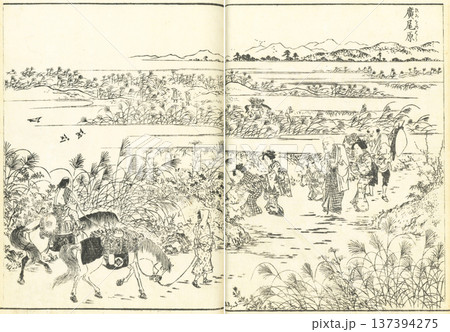 江戸名所図会：広尾原 137394275