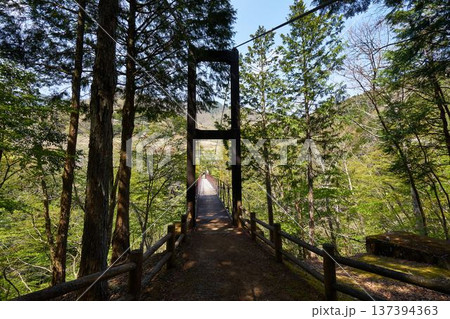 山梨県道志村 野原吊橋 山梨県道志村 野原吊橋 137394363