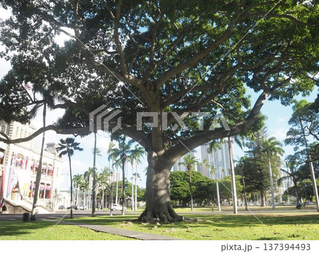 イオラニ宮殿　ハワイ王国最後の王宮　ホノルル歴史建築 137394493