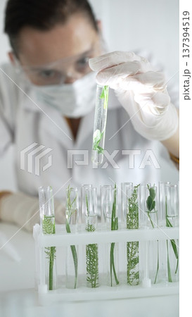 Woman scientist with white gloves, face mask and protective glasses, is holding a test tube with plants inside in laboratory setting, vertical view. Science and medicine Woman scientist with white gloves, face mask and protective glasses, is holding a test tube with plants inside in laboratory setting, vertical view. Science and medicine 137394519