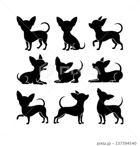 Different poses of chihuahuas illustrated in black silhouette on a plain background Different poses of chihuahuas illustrated in black silhouette on a plain background 137394540