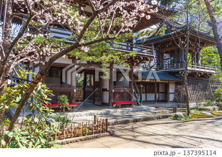 観音院　武蔵野市　武蔵境駅前 137395114