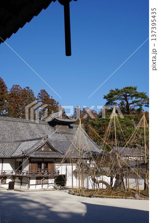 青空をバックにした寺社の境内 青空をバックにした寺社の境内 137395435