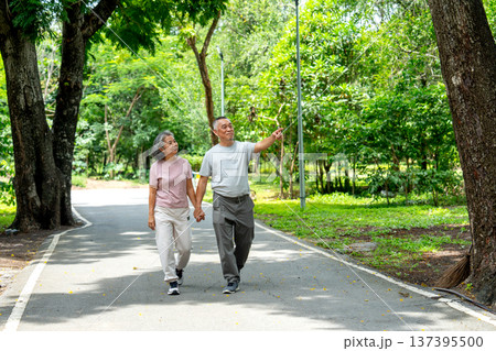 Front view of Asian senior man hold hands of senior woman and point forward also walk along the road in public park with happiness during exercise and relax together. 137395500
