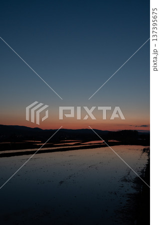 美しい春の夕暮と水を張った水田 137395675