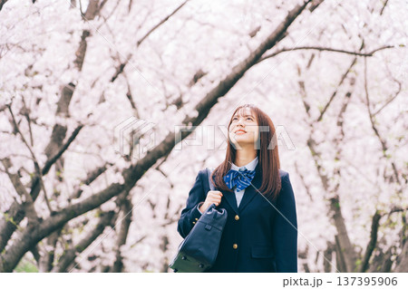 桜を見上げる高校生 137395906
