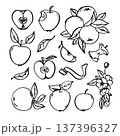 Hand drawn vector apple set. Apples 137396327