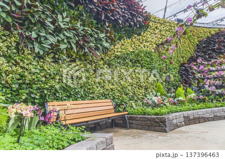 Lush Botanical Garden Bench With Tropical Plants Lush Botanical Garden Bench With Tropical Plants 137396463