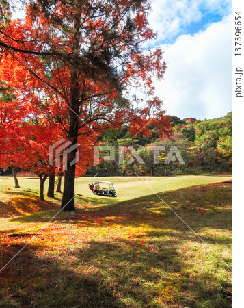 紅葉する秋のゴルフ場コースを走行するゴルフカート 137396654