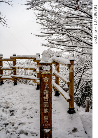 雪(金比羅台園地) 雪(金比羅台園地) 137396791