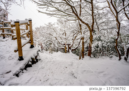 雪(金比羅台園地) 雪(金比羅台園地) 137396792
