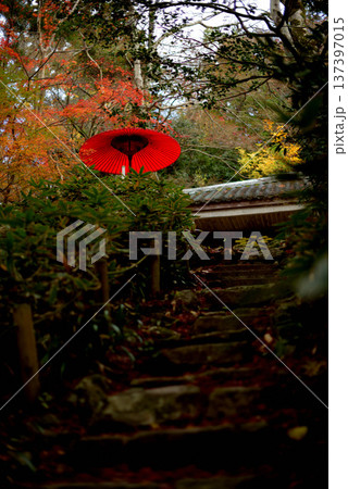 赤い和傘と紅葉 赤い和傘と紅葉 137397015