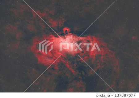 わし星雲_2025.06 137397077