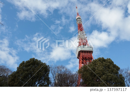 東京のシンボル・東京タワー 東京のシンボル・東京タワー 137397117