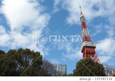 東京タワーと麻布台ヒルズ 東京タワーと麻布台ヒルズ 137397118