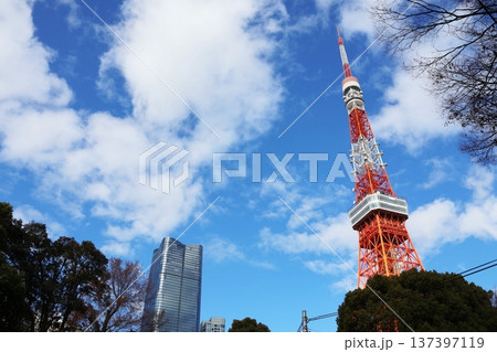 東京タワーと麻布台ヒルズ 東京タワーと麻布台ヒルズ 137397119